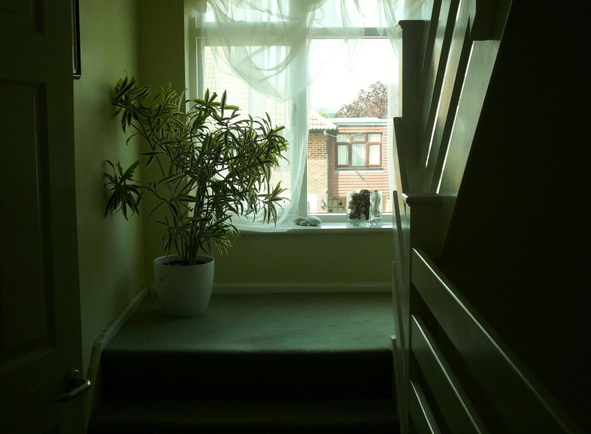 Malvern House هاي ويكومبْ المظهر الخارجي الصورة